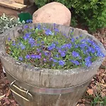 Lele-lake Super Mazury Дом отдыха