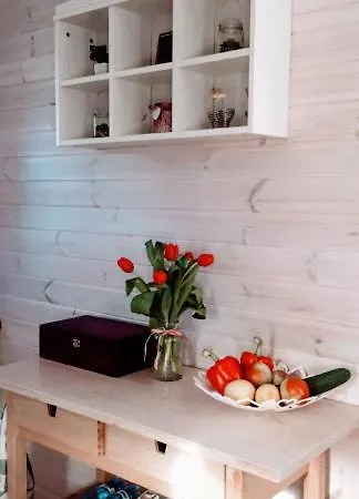 Holiday home Lele-lake Super Mazury Pasym