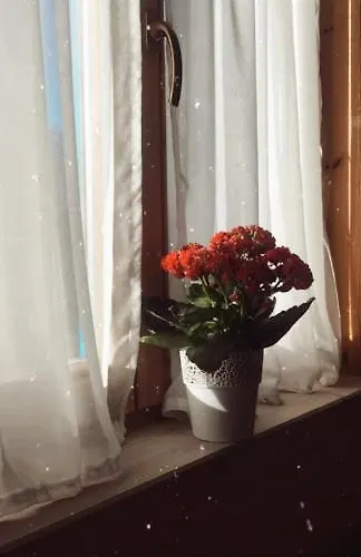 Lele-lake Super Mazury Дом отдыха Пасым