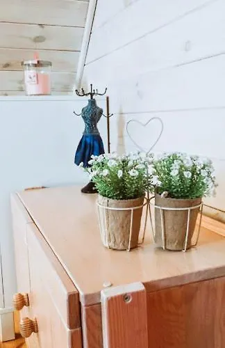 Lele-lake Super Mazury Пасым