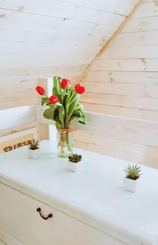 Lele-lake Super Mazury Пасым