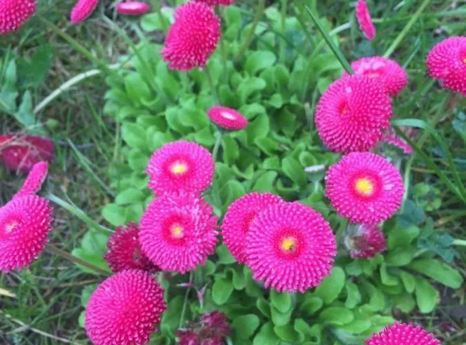 Lele-lake Super Mazury Дом отдыха *